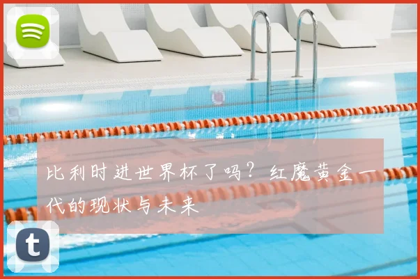 比利时进世界杯了吗？红魔黄金一代的现状与未来